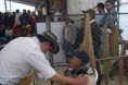 /album/cota/a310099-2366766051286-1314467008-2847244-5181609-n-jpg/
